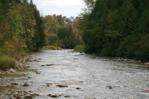 The Beatty Saugeen River