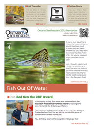 download saugeen river steelhead fishing newsletter